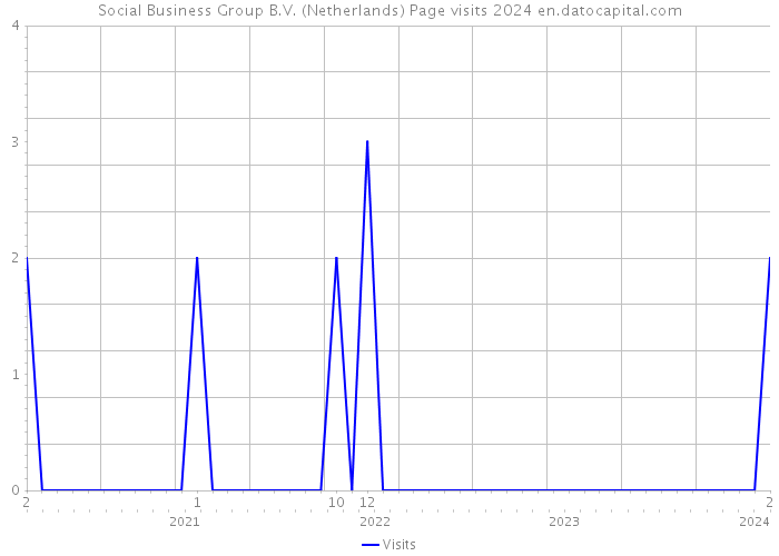 Social Business Group B.V. (Netherlands) Page visits 2024 