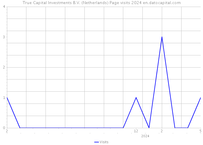 True Capital Investments B.V. (Netherlands) Page visits 2024 