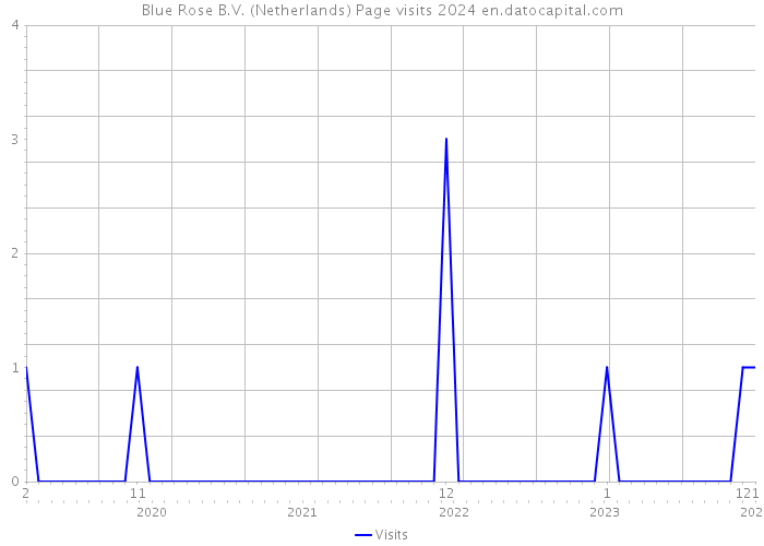 Blue Rose B.V. (Netherlands) Page visits 2024 