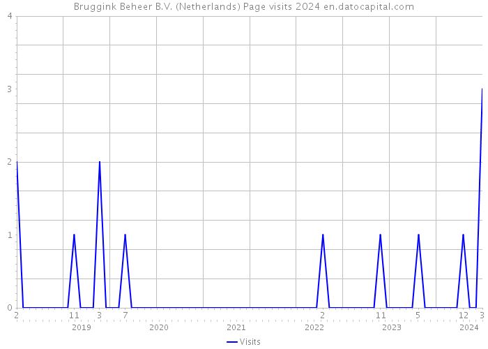 Bruggink Beheer B.V. (Netherlands) Page visits 2024 
