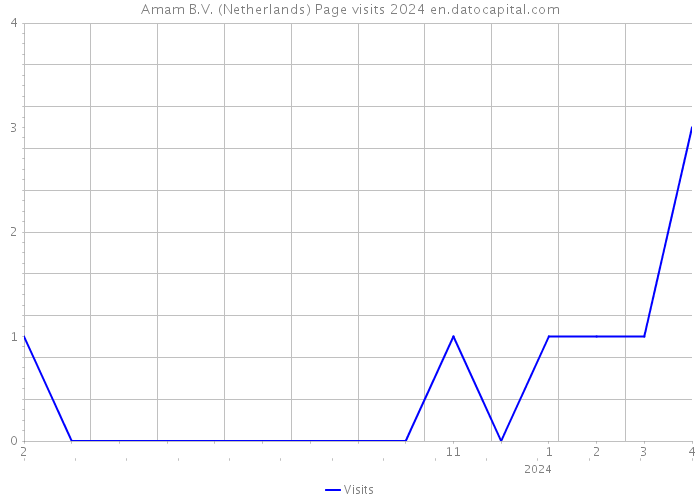 Amam B.V. (Netherlands) Page visits 2024 