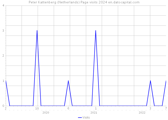 Peter Kattenberg (Netherlands) Page visits 2024 