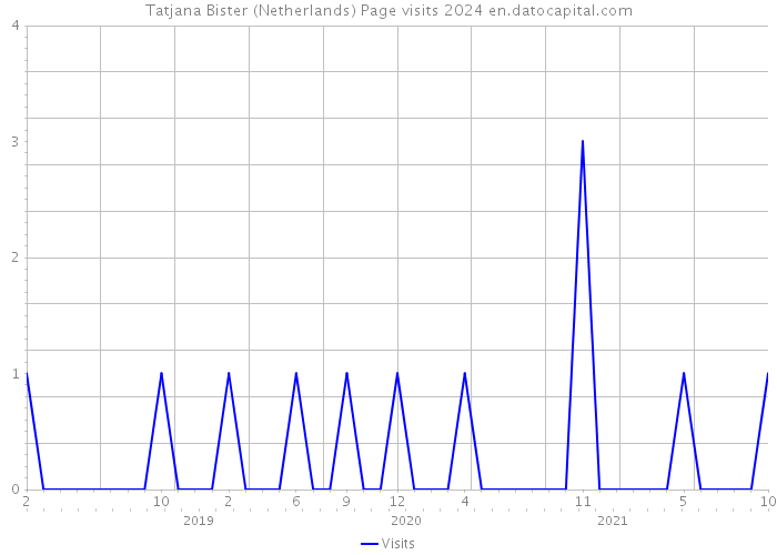 Tatjana Bister (Netherlands) Page visits 2024 