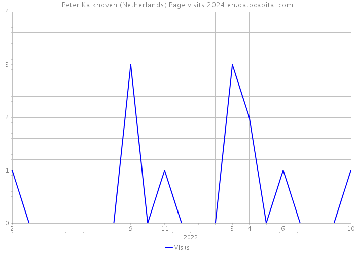 Peter Kalkhoven (Netherlands) Page visits 2024 