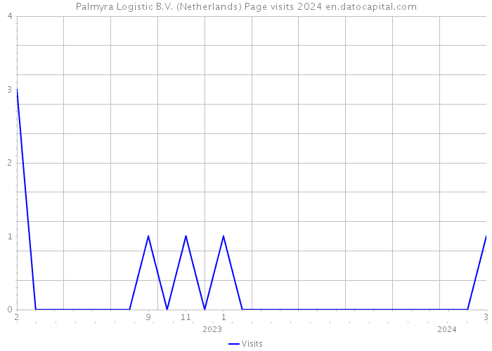 Palmyra Logistic B.V. (Netherlands) Page visits 2024 