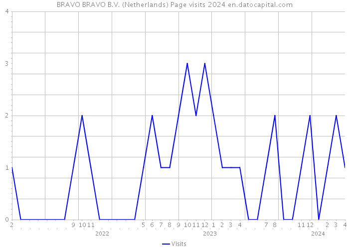 BRAVO BRAVO B.V. (Netherlands) Page visits 2024 
