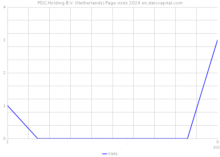 PDG Holding B.V. (Netherlands) Page visits 2024 