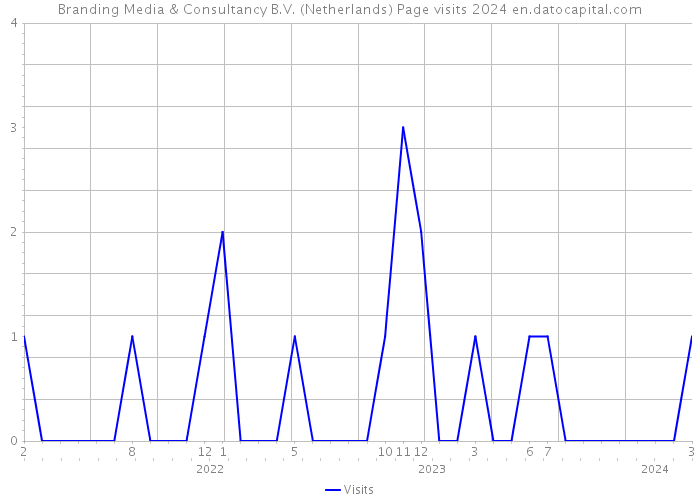 Branding Media & Consultancy B.V. (Netherlands) Page visits 2024 