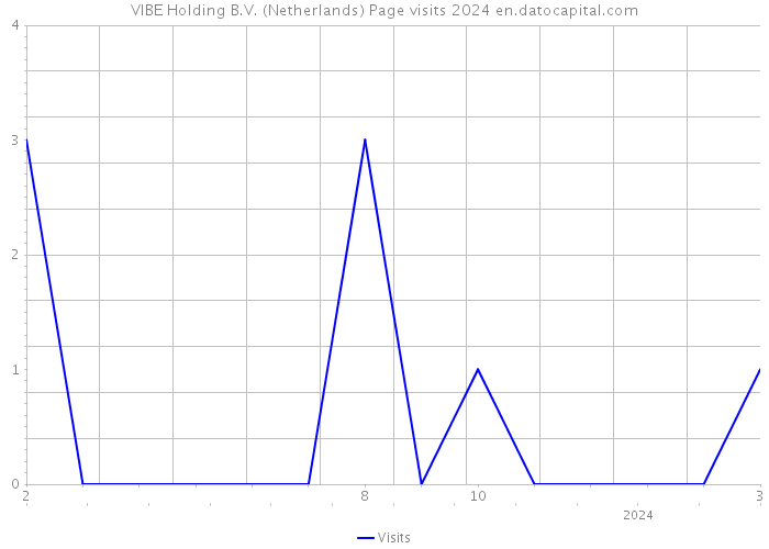 VIBE Holding B.V. (Netherlands) Page visits 2024 