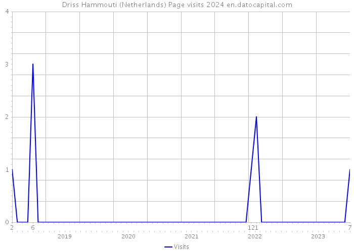Driss Hammouti (Netherlands) Page visits 2024 