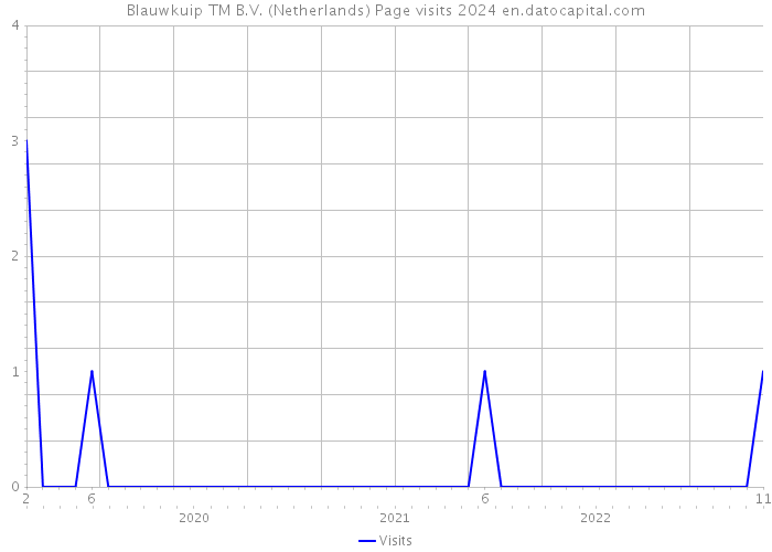 Blauwkuip TM B.V. (Netherlands) Page visits 2024 