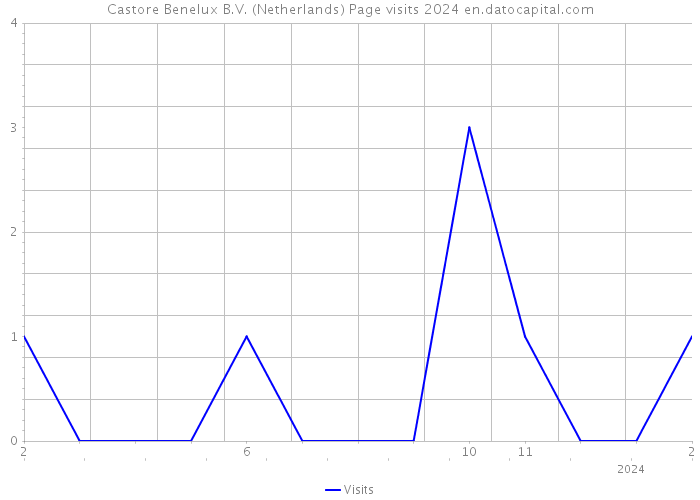 Castore Benelux B.V. (Netherlands) Page visits 2024 