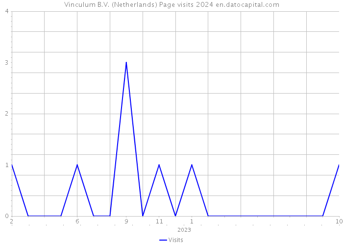 Vinculum B.V. (Netherlands) Page visits 2024 