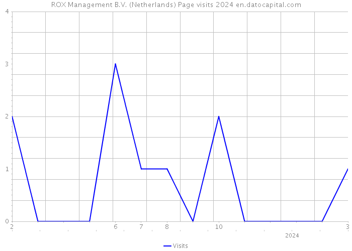 ROX Management B.V. (Netherlands) Page visits 2024 
