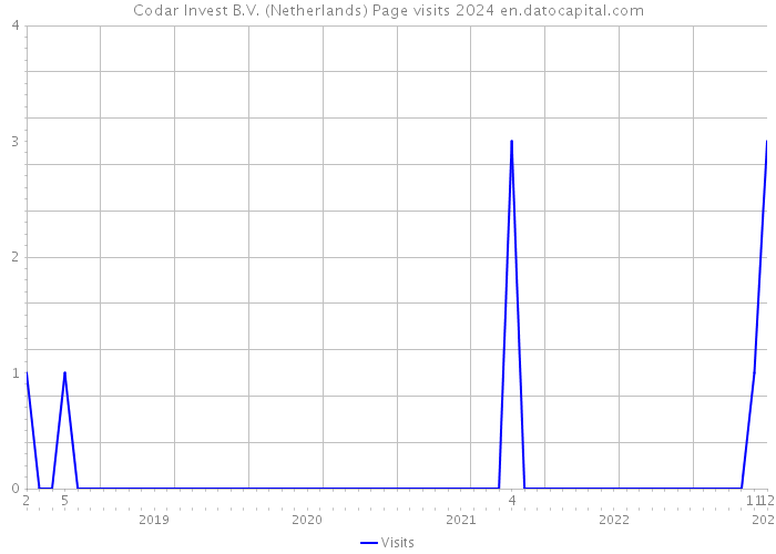 Codar Invest B.V. (Netherlands) Page visits 2024 