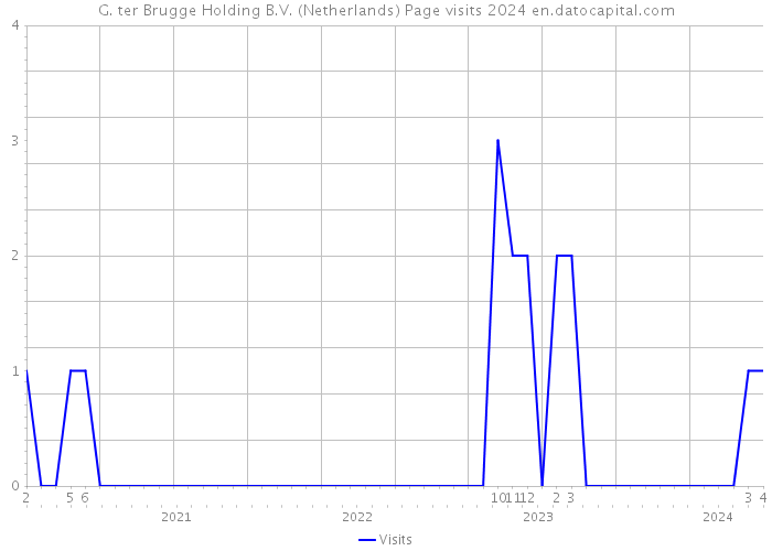 G. ter Brugge Holding B.V. (Netherlands) Page visits 2024 