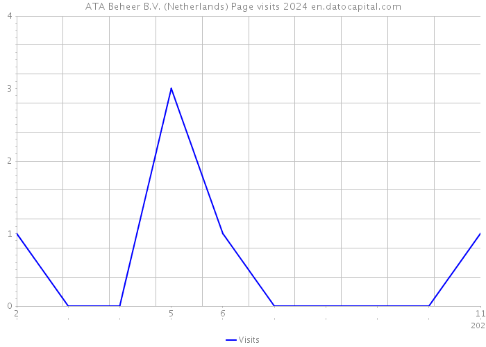 ATA Beheer B.V. (Netherlands) Page visits 2024 