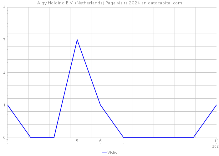 Algy Holding B.V. (Netherlands) Page visits 2024 