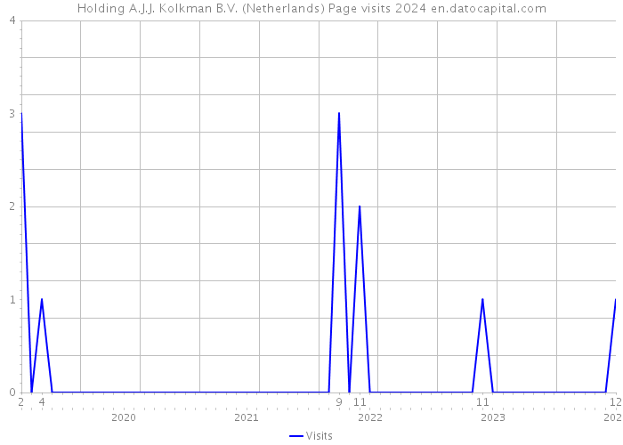 Holding A.J.J. Kolkman B.V. (Netherlands) Page visits 2024 