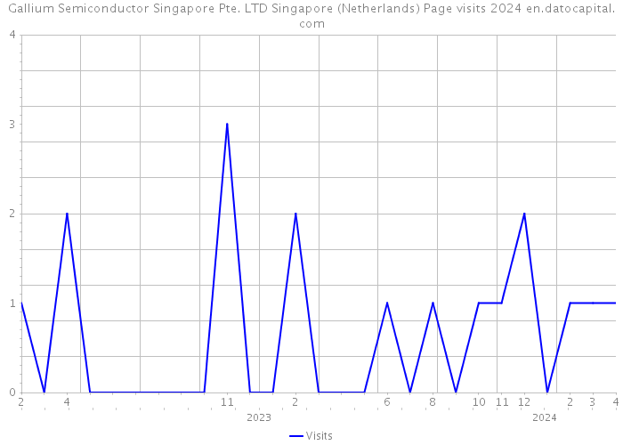 Gallium Semiconductor Singapore Pte. LTD Singapore (Netherlands) Page visits 2024 