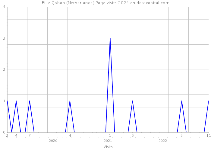 Filiz Çoban (Netherlands) Page visits 2024 
