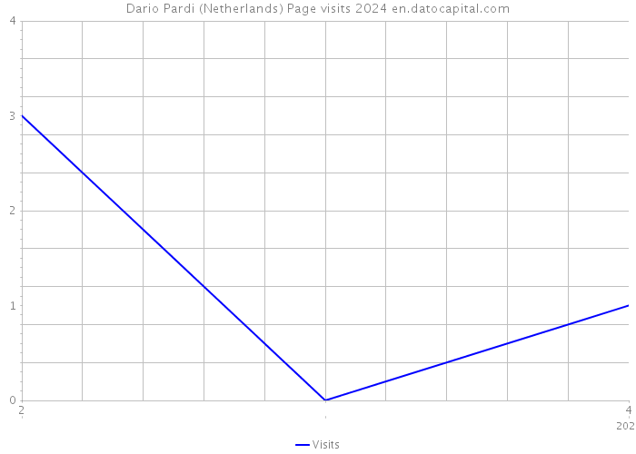 Dario Pardi (Netherlands) Page visits 2024 