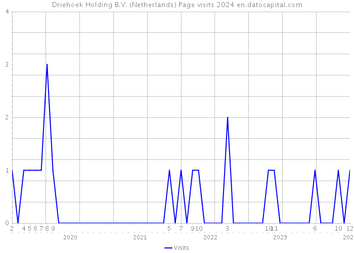 Driehoek Holding B.V. (Netherlands) Page visits 2024 