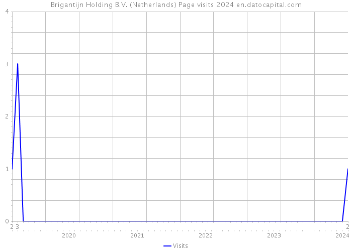 Brigantijn Holding B.V. (Netherlands) Page visits 2024 
