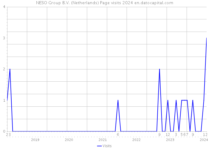 NESO Group B.V. (Netherlands) Page visits 2024 