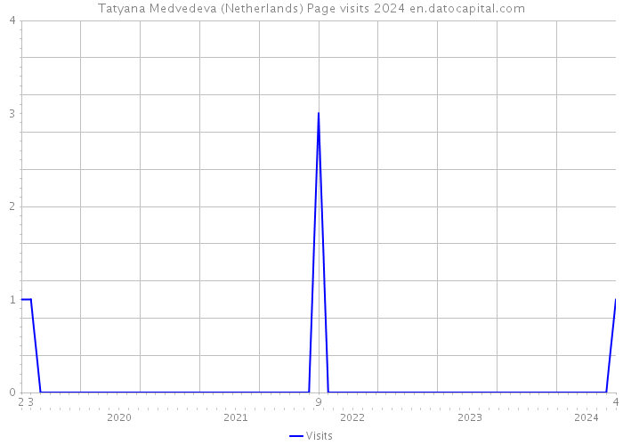 Tatyana Medvedeva (Netherlands) Page visits 2024 