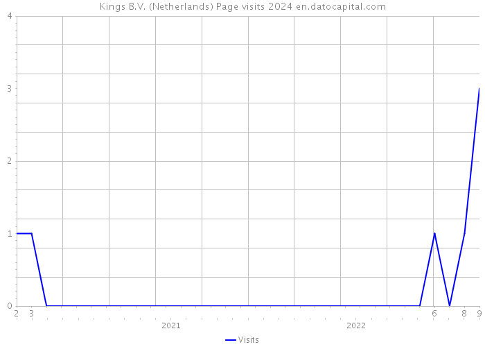 Kings B.V. (Netherlands) Page visits 2024 