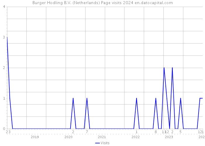 Burger Hodling B.V. (Netherlands) Page visits 2024 