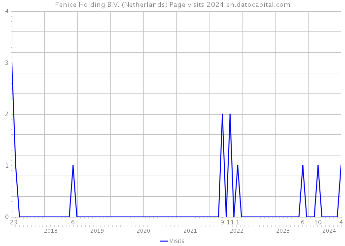 Fenice Holding B.V. (Netherlands) Page visits 2024 