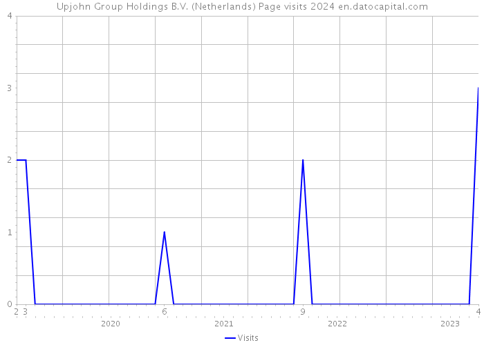 Upjohn Group Holdings B.V. (Netherlands) Page visits 2024 