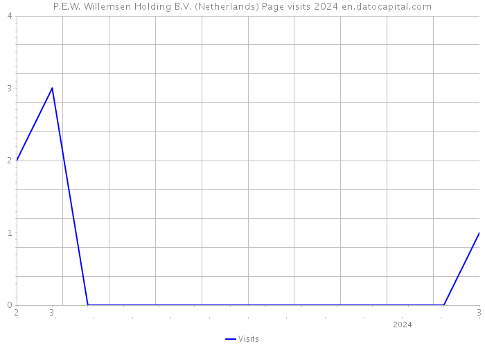 P.E.W. Willemsen Holding B.V. (Netherlands) Page visits 2024 