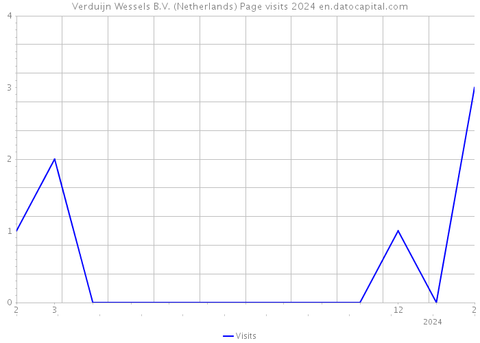 Verduijn Wessels B.V. (Netherlands) Page visits 2024 