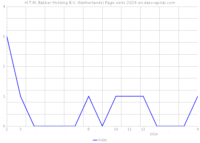 H.T.M. Bakker Holding B.V. (Netherlands) Page visits 2024 