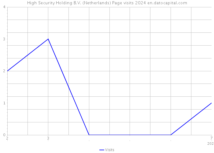 High Security Holding B.V. (Netherlands) Page visits 2024 