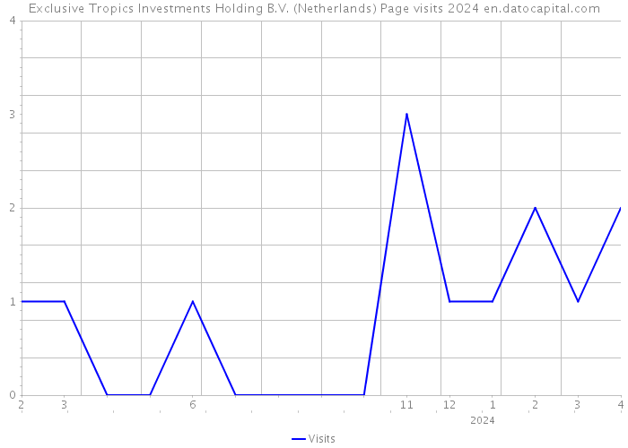 Exclusive Tropics Investments Holding B.V. (Netherlands) Page visits 2024 