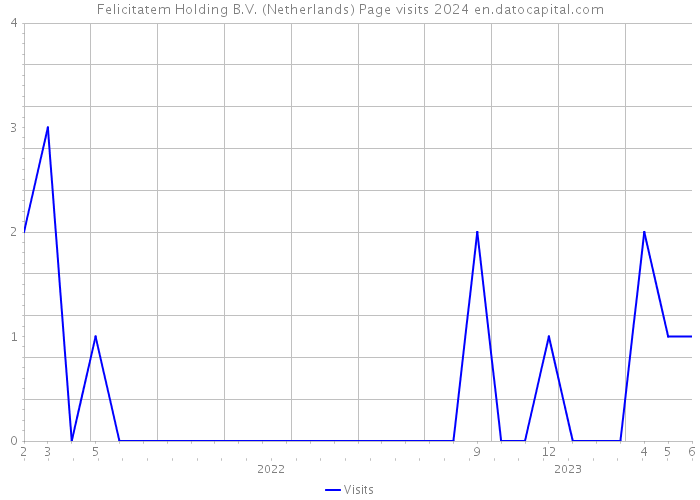 Felicitatem Holding B.V. (Netherlands) Page visits 2024 