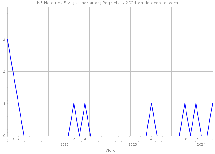 NF Holdings B.V. (Netherlands) Page visits 2024 