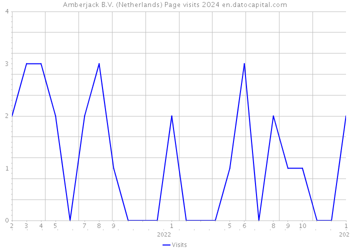 Amberjack B.V. (Netherlands) Page visits 2024 
