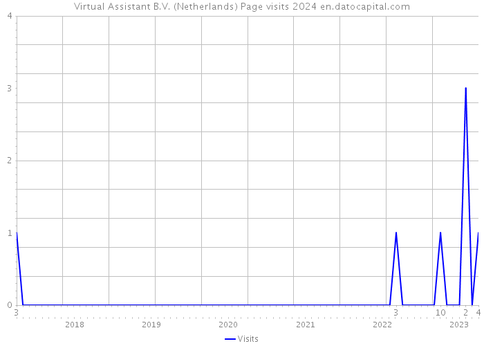 Virtual Assistant B.V. (Netherlands) Page visits 2024 