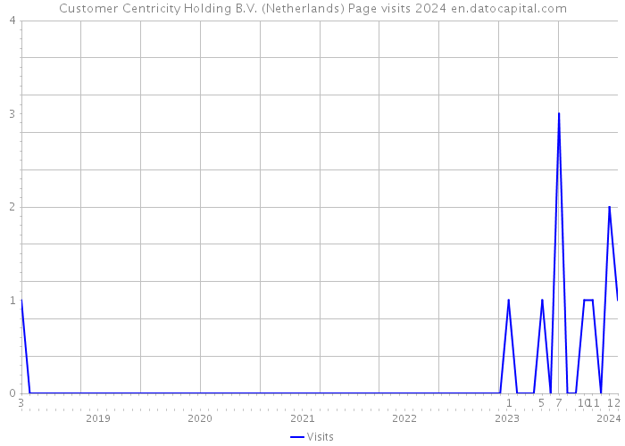 Customer Centricity Holding B.V. (Netherlands) Page visits 2024 