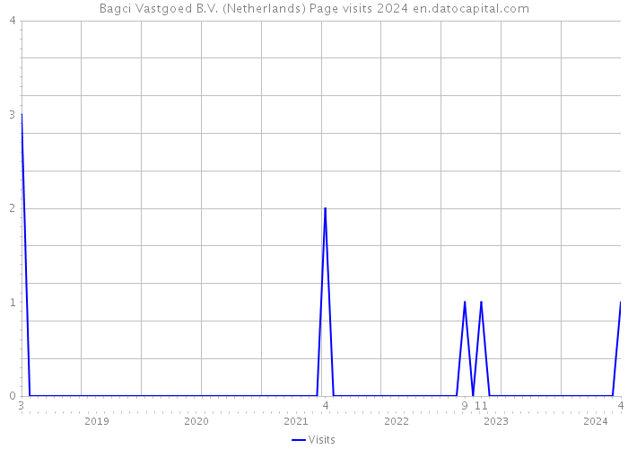 Bagci Vastgoed B.V. (Netherlands) Page visits 2024 