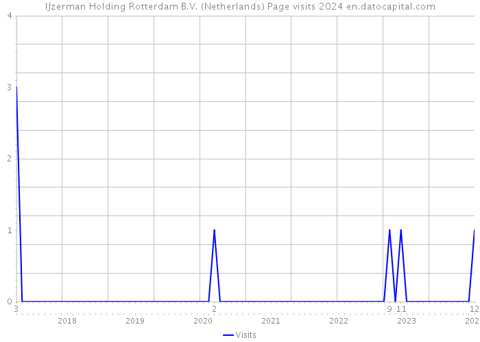 IJzerman Holding Rotterdam B.V. (Netherlands) Page visits 2024 