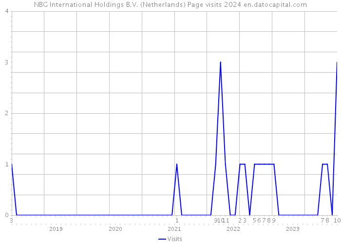 NBG International Holdings B.V. (Netherlands) Page visits 2024 