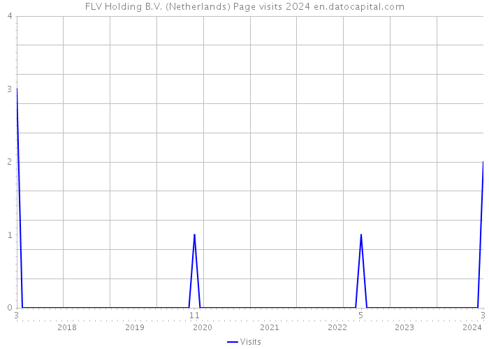 FLV Holding B.V. (Netherlands) Page visits 2024 