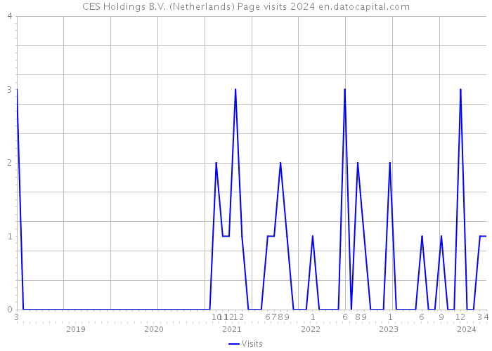 CES Holdings B.V. (Netherlands) Page visits 2024 