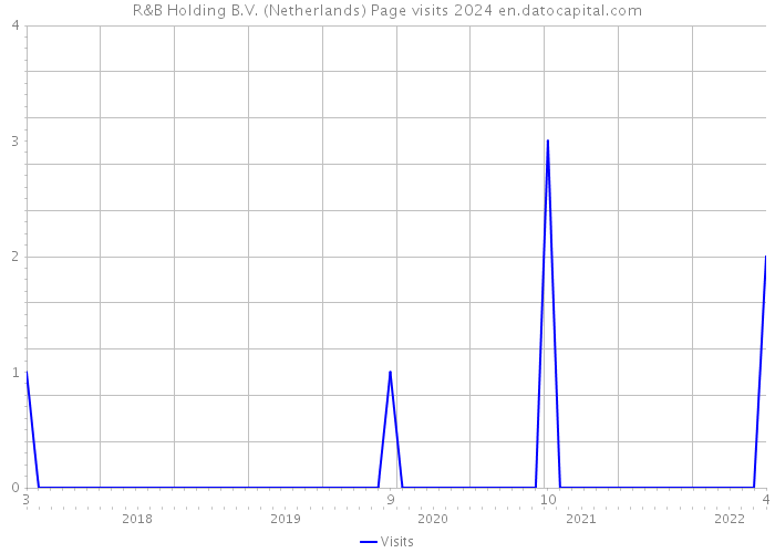 R&B Holding B.V. (Netherlands) Page visits 2024 